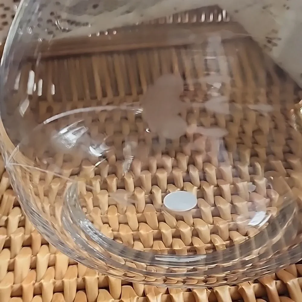 Elegant Clear Etched Floral Princess House Crystal Vase